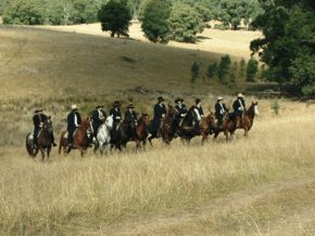 McCormacks Mountain Valley Trail Rides - Accommodation Gladstone