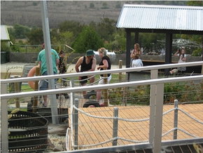 High Country - Accommodation Gladstone 0