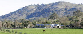 Blue Gum Farm - Accommodation Gladstone 1
