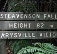 Stevensons Falls - Accommodation Gladstone