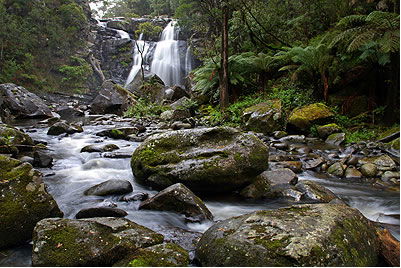 Stevensons Falls - Accommodation Gladstone 2