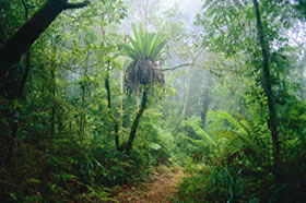 Illinbah QLD Accommodation Gladstone