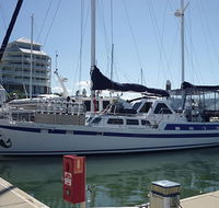 Coral Sea Dreaming Dive and Sail - Accommodation Gladstone