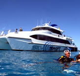 Silver Swift - Accommodation Gladstone
