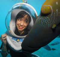 Sunlover Reef Cruises - Accommodation Gladstone
