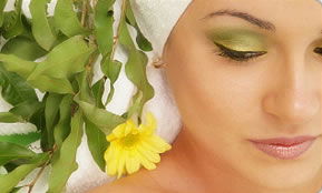 Indica Spa - Accommodation Gladstone 1
