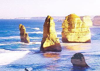 Bunyip Tours - Accommodation Gladstone 3