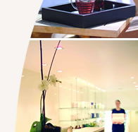 Lyall Hotel and Spa - Accommodation Gladstone