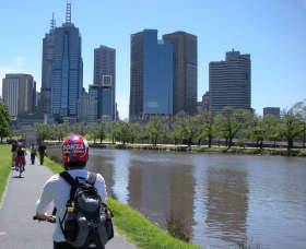 Bonza Bike Tours And Bike Rental - Accommodation Gladstone 1