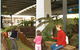 Wetlands Mini Golf - thumb 1