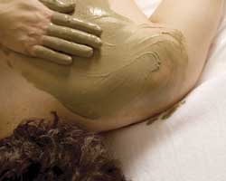Alkaline Spa & Clinic - Accommodation Gladstone 2
