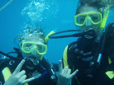 Snorkel Safari Brisbane - Accommodation Gladstone 5
