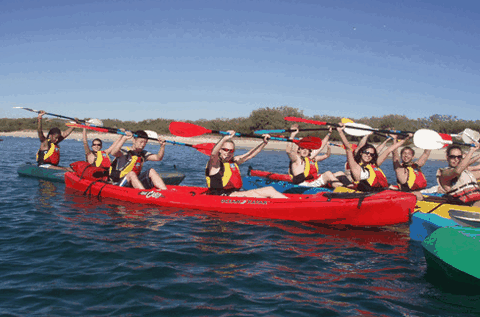 Australian Kayaking Adventures - Accommodation Gladstone 0