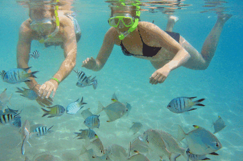 Australian Kayaking Adventures - Accommodation Gladstone 2