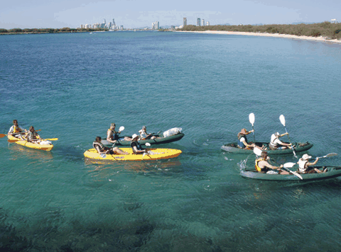 Australian Kayaking Adventures - Accommodation Gladstone 4