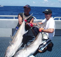 Blue Juice Charters - Accommodation Gladstone