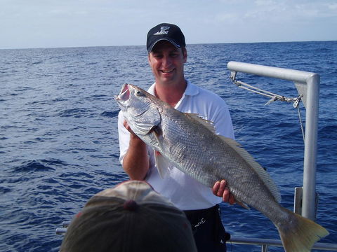 Blue Juice Charters - Accommodation Gladstone 1