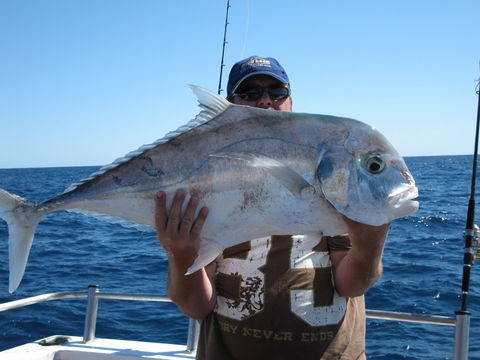 Blue Juice Charters - Accommodation Gladstone 4