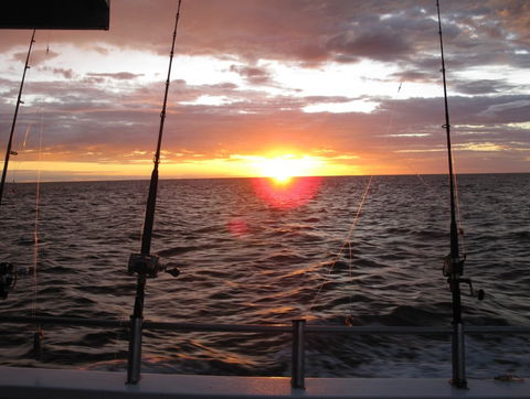 Blue Juice Charters - Accommodation Gladstone 5