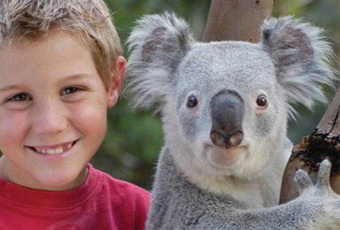 Featherdale Wildlife Park - Accommodation Gladstone 1
