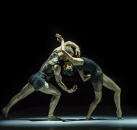 Sydney Dance Company - Accommodation Gladstone