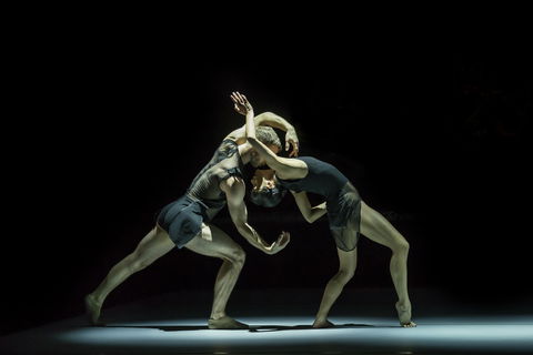 Sydney Dance Company - Accommodation Gladstone 0
