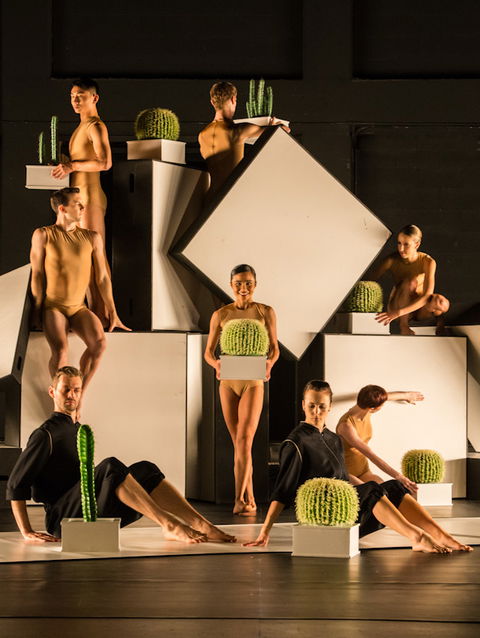 Sydney Dance Company - Accommodation Gladstone 3