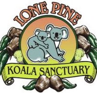 Lone Pine Koala Sanctuary - Accommodation Gladstone