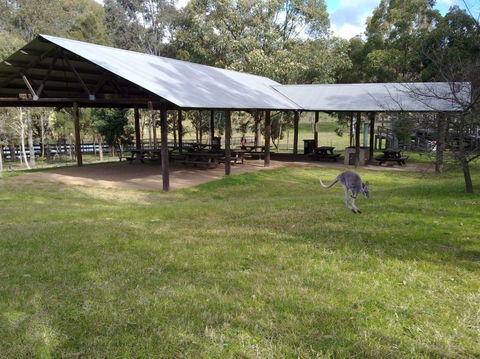 Calmsley Hill City Farm - Accommodation Gladstone 5