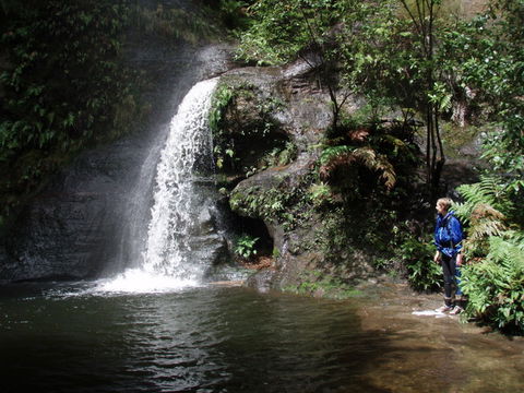 Blue Mountains Adventure Company - Accommodation Gladstone 1