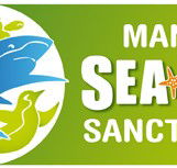 Manly SEA LIFE Sanctuary - Accommodation Gladstone