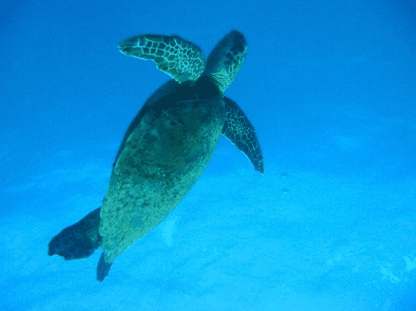 Redcliffe QLD Accommodation Gladstone