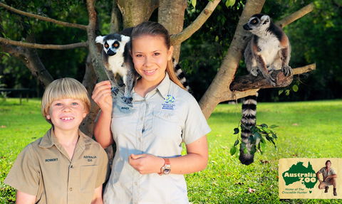 Australia Zoo - Accommodation Gladstone 2