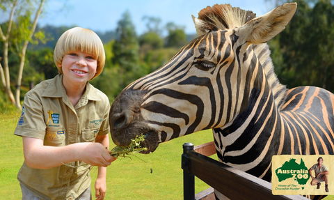Australia Zoo - Accommodation Gladstone 5