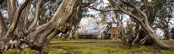High Country Scenic Tours - Accommodation Gladstone
