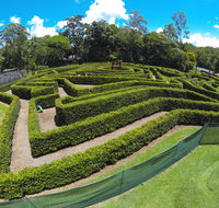 Bellingham Maze - Accommodation Gladstone