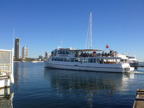 Brisbane Cruises - Accommodation Gladstone 1