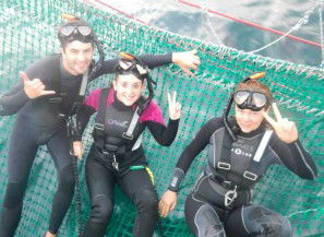Dolphin Swim Australia - Accommodation Gladstone 7
