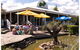 Wetlands Mini Golf - thumb 4