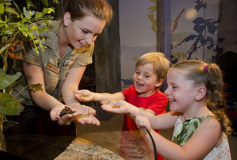 WILD LIFE Sydney Zoo - Accommodation Gladstone 1