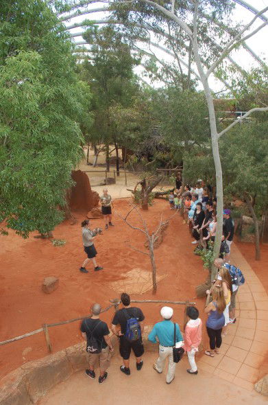 WILD LIFE Sydney Zoo - Accommodation Gladstone 2