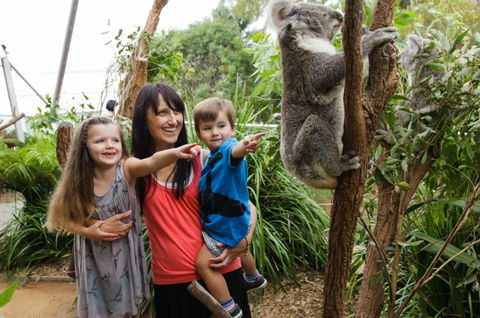 WILD LIFE Sydney Zoo - Accommodation Gladstone 3