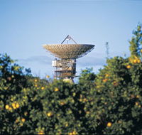 Big Dish - Accommodation Gladstone