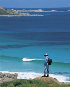 Smiths Beach - Accommodation Gladstone 0