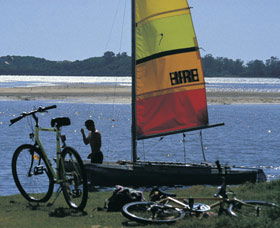 Leschenault Estuary - Accommodation Gladstone 0