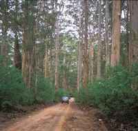 Boranup Drive - Accommodation Gladstone