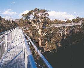 Walpole-Nornalup National Park - Accommodation Gladstone 0