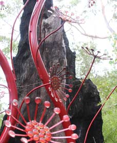 Crowea WA Accommodation Gladstone