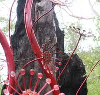 Understory Art In Nature - Accommodation Gladstone