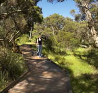 Leschenault Peninsula Conservation Park - Accommodation Gladstone